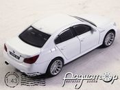 BMW 5-series (2003) Rastar (B)