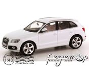 Audi Q5 (2008) 450756000 (I)