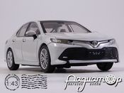 Toyota Camry (2018) 915448