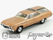 Buick Sports Wagon (1969) KE43052010