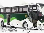 MAN Lions Star (1996) ZK6120R41