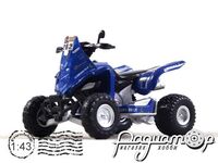 Yamaha 700R Raptor №262 Bruno Da Costa Francia (2017) DK262 [DB]