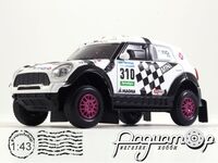 Mini All4 Racing №310 Orlando Terranova Argentina (2016) DK310/DC1116 [NT]