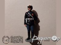 Сотрудник ГАИ AU214
