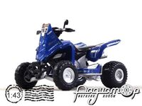 Yamaha Raptor 700 №262 Bruno Da Costa Francia (2017) DC1098 [NT]