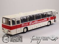 Ikarus-250.59 Совтрансавто (1984) 900308 [MA]