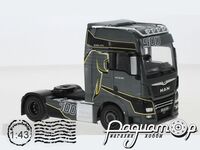 MAN TGX XXL D38 (2018) TR113 [NT]