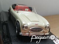 Austin Healey 3000 (1963) 22000/0262 [KG]