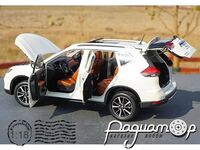 Nissan X-Trail (2014) 169591