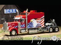 Peterbilt 379 (2002) TR171.22
