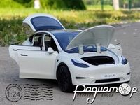 Tesla Model Y (2020) 013767