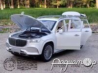 Mercedes-Maybach GLS 600 (2024) 063333