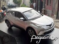 Toyota IZOA (2020) 699181