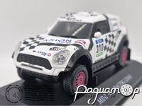 Mini All4 Racing Terranova Graue (2016) 250601 [LS]