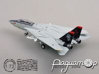 Grumann F-14D Tomcat, USN VF-101 Grim Reapers AD164 NAS Oceana VA (2004) 37191