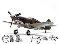 P-40C (Hawk 81A-2) P-8194 1st PS 