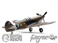 P-40C (Hawk 81A-2) P-8194 1st PS 