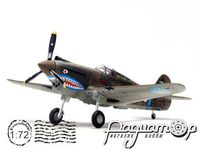 P-40C (Hawk 81A-2) 2nd PS, AVG, David Lee Tex Hill, China (1941) 14623LC
