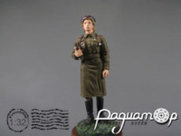 Солдаты ВОВ №150, Капитан военно-ветеринарной службы РККА (1943-1945) 914033 [IE]