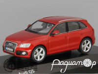 Audi Q5 (2016) 5011205623