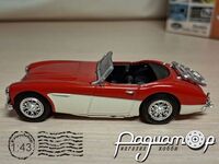 Austin Healey Open Top (1959) 318020 [SR]