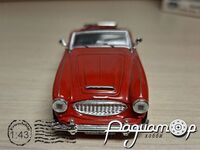 Austin Healey Open Top (1959) 318020 [SR]