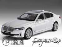 BMW 530Li (2021) 135064