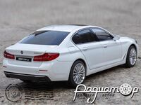 BMW 530Li (2021) 135064