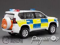 Toyota Land Cruiser Prado Hong Kong Traffic New Territories South Police (2015) 29451