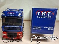 DAF XF105 SuperSpace с полуприцепом TWT (2005) 318102 [SR]