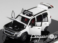 Toyota Land Cruiser 300 GR Sport (2021) LCD43011-WH