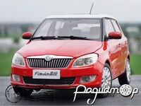 Skoda Fabia (2012) 532738