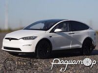 Tesla Model X (2021) 673850