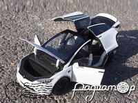 Tesla Model X (2021) 673850