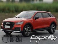 Audi Q2L (2019) 078618