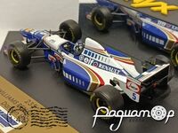 Williams Renault FW17 Damon Hill (1995) 666702 [IS]
