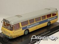Bussing Senator (1964) 666707 [IS]