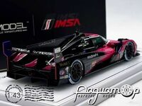 Cadillac Racing V-Series R №1 IMSA Patit Le Mans Winner (2024) 739361
