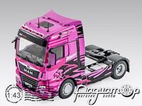 Truck Tuning Collection №8, MAN TGX (2014) TTC008 [SV]