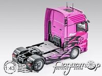 Truck Tuning Collection №8, MAN TGX (2014) TTC008 [SV]
