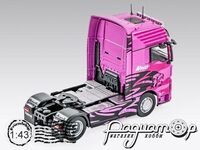 Truck Tuning Collection №8, MAN TGX (2014) TTC008