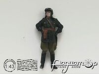 Солдат (1 фигурка) 257528 [BR]