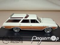Buick Sport Wagon (1965) 43361 [SR]***