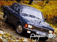 Диски з ковпаками ГАЗ-31 Волга (4шт) ST124