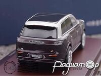 Voyah Taishan (2025) 372479