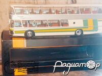 Neoplan NH 22L Skyliner (1983) 350019 [PN]