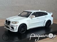 BMW X6 (2009) 1000 [KG]