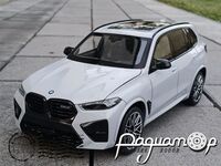 BMW X5 M Competition (F95) LCI (2023) 585250 [LB]