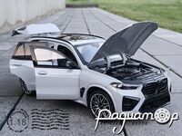 BMW X5 M Competition (F95) LCI (2023) 585250 [LB]
