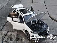 BMW X5 M Competition (F95) LCI (2023) 585250 [LB]